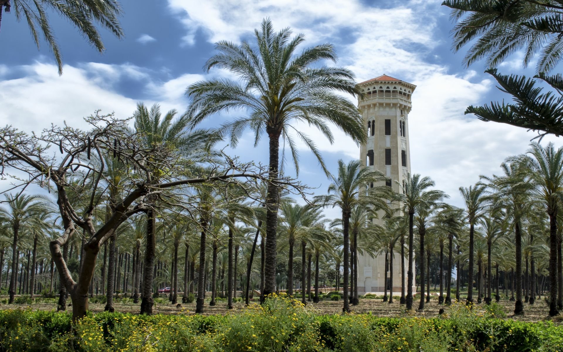 HD PC desktop wallpaper of Montaza Palace: a man-made tower rising among palm trees in landscaped gardens under a bright blue sky.
