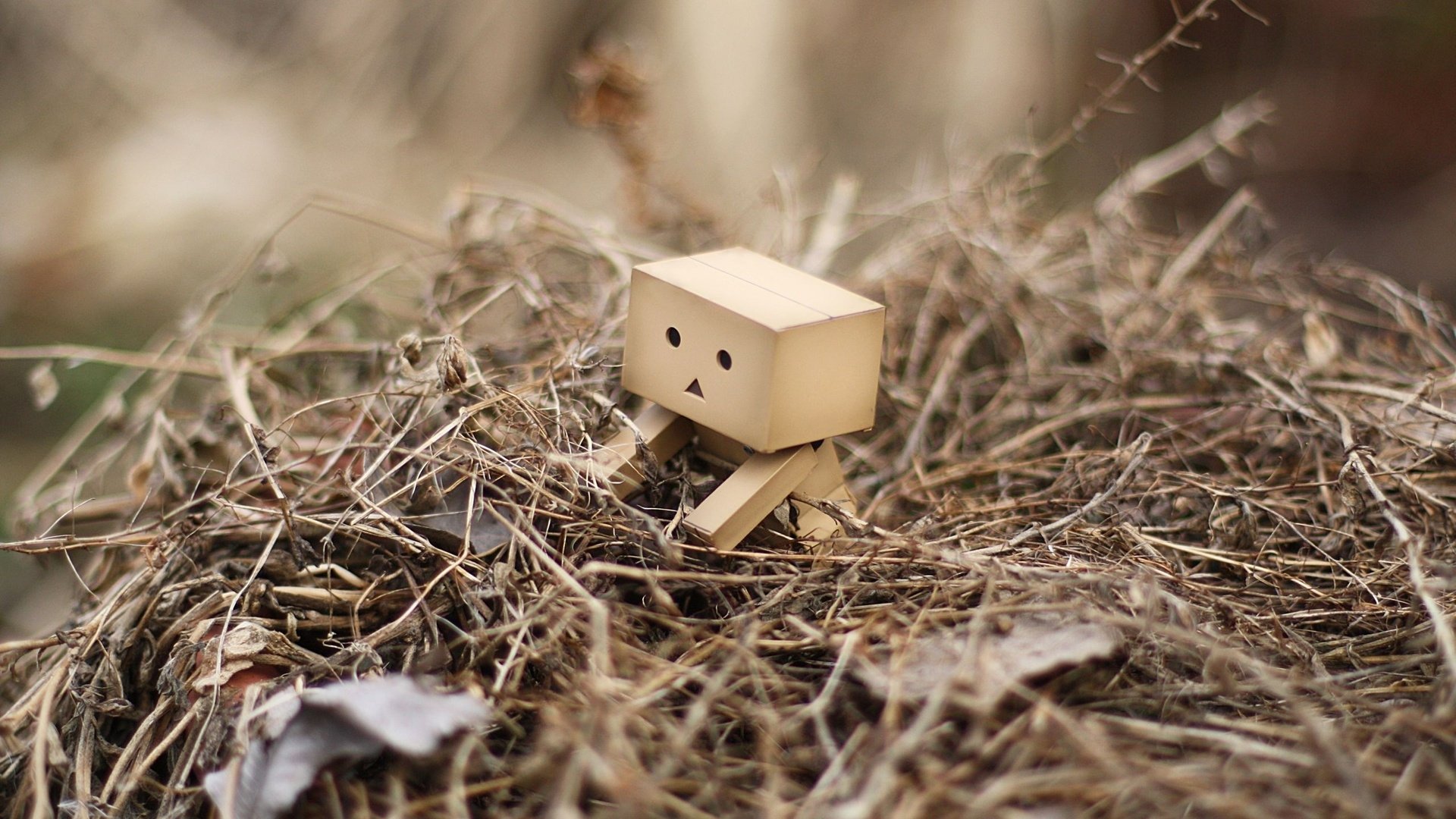 HD PC desktop wallpaper featuring a small Danbo figure sitting thoughtfully among dried grass and twigs, creating a quiet, contemplative mood.
