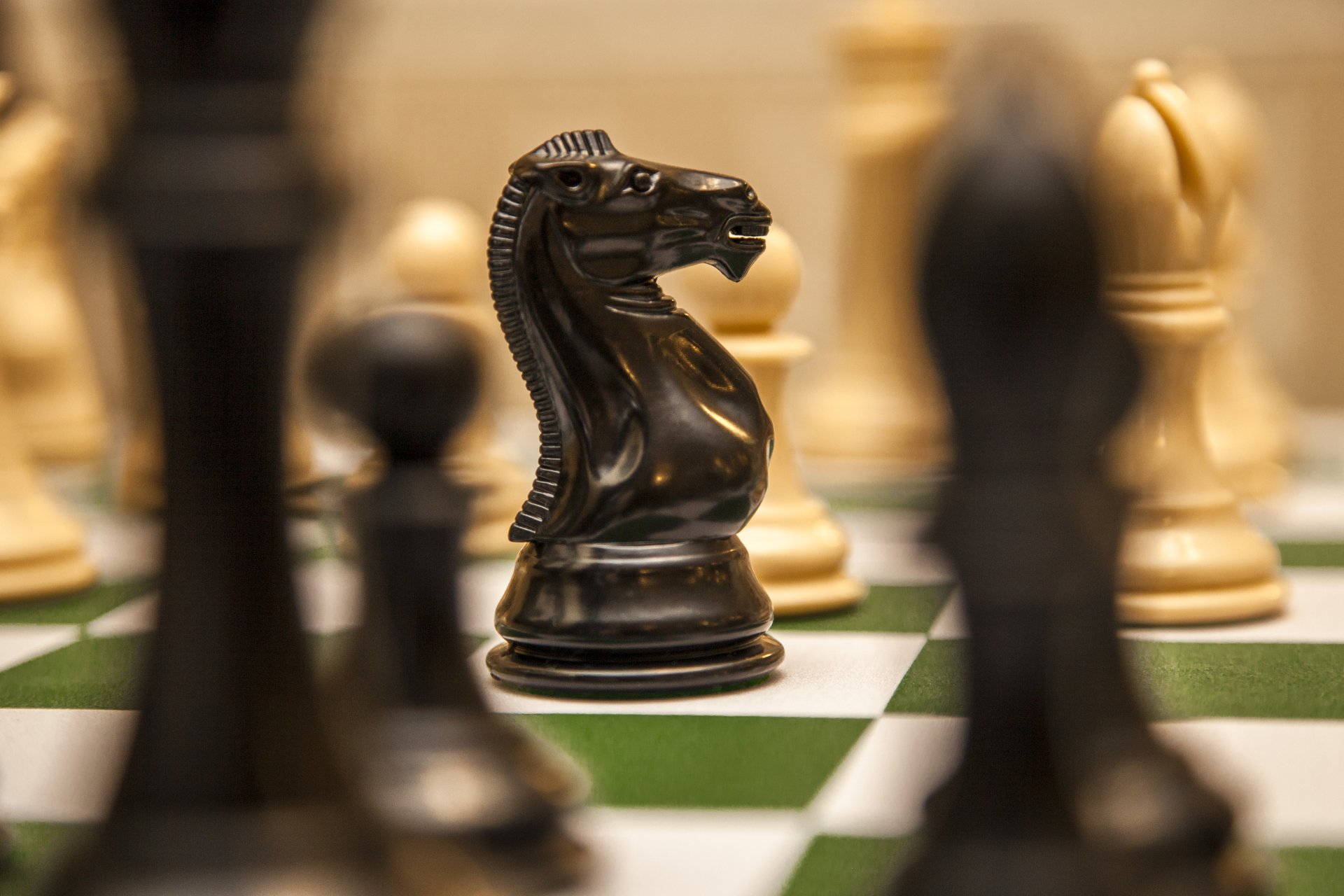 5K Ultra HD desktop wallpaper close-up of a man-made glossy black knight chess piece on a green-and-white board, surrounded by blurred gold and black pieces.