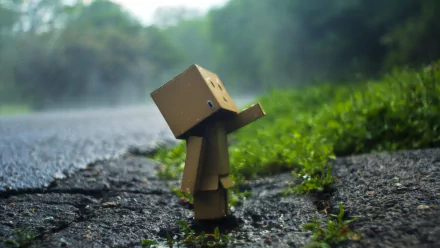 Danbo cardboard figure standing on wet asphalt by green grass and misty woods — HD PC desktop wallpaper/background. Tags: Misc, danbo.