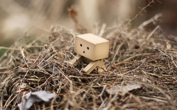 HD PC desktop wallpaper featuring a small Danbo figure sitting thoughtfully among dried grass and twigs, creating a quiet, contemplative mood.