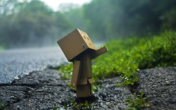 Danbo cardboard figure standing on wet asphalt by green grass and misty woods — HD PC desktop wallpaper/background. Tags: Misc, danbo.
