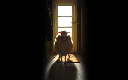 movie Black Sheep (2006) HD Desktop Wallpaper | Background Image