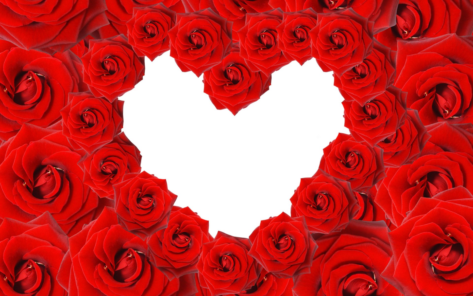 Artistic HD PC wallpaper featuring vibrant red roses arranged to form a heart shape, symbolizing love and passion.