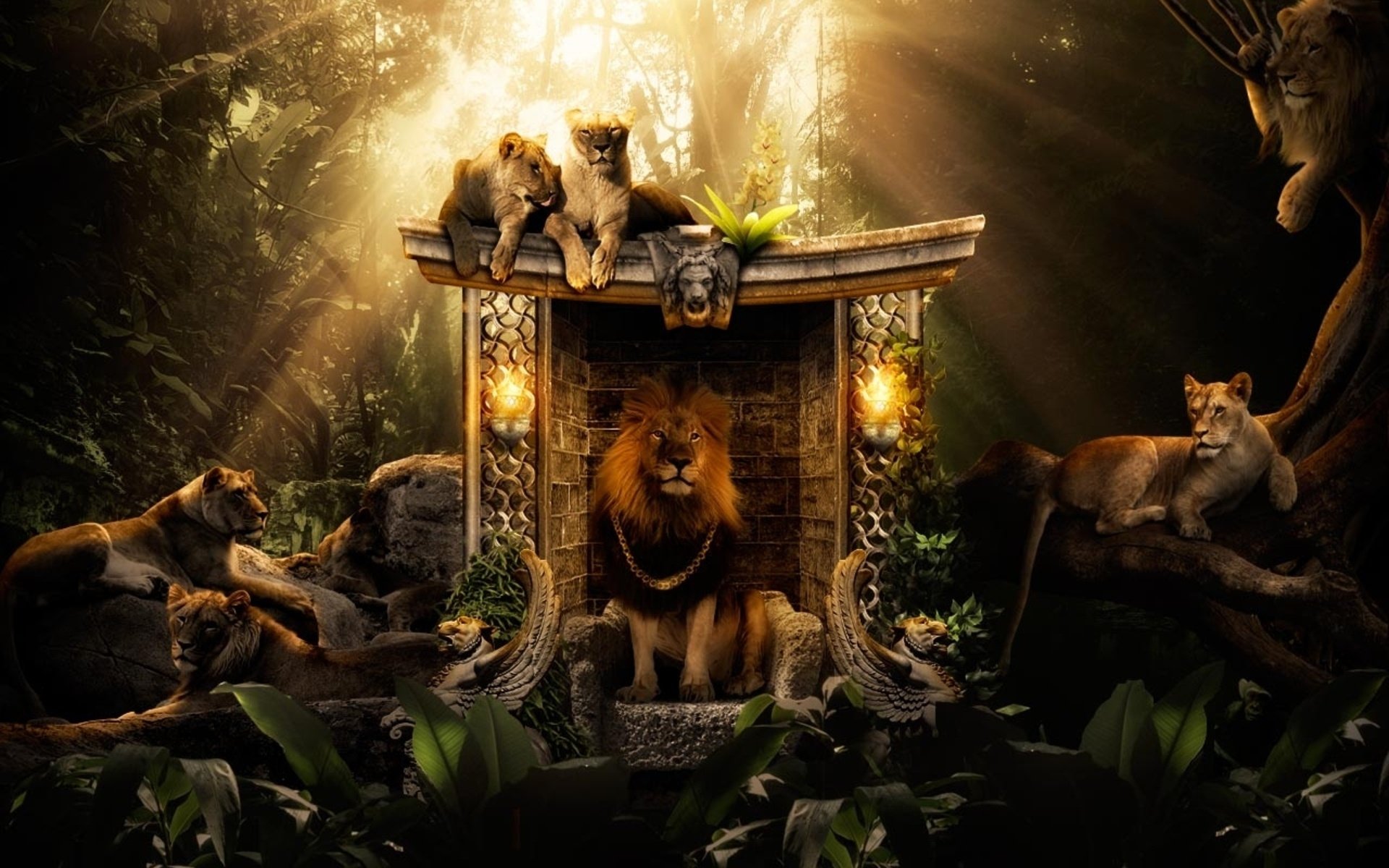 HD desktop wallpaper featuring a majestic lion and its pride in a lush jungle setting, bathed in sunlight.