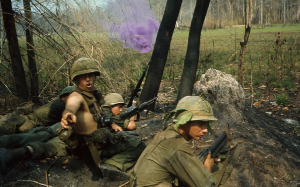Soldiers in Vietnam War combat gear take cover behind foliage, aiming rifles amid dense terrain, captured in a vivid 4K Ultra HD military desktop wallpaper.