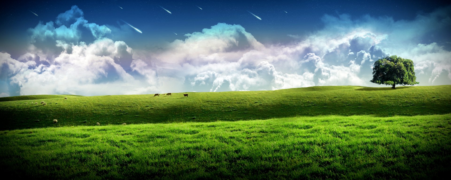 HD photography landscape PC desktop wallpaper: sunlit rolling green meadow with distant grazing cows beneath dramatic clouds and streaks of light.