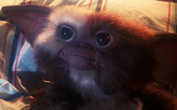 movie Gremlins HD Desktop Wallpaper | Background Image