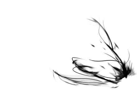 An abstract HD desktop wallpaper featuring elegant black lines and shapes contrasting against a clean white background, creating a modern and minimalist aesthetic.