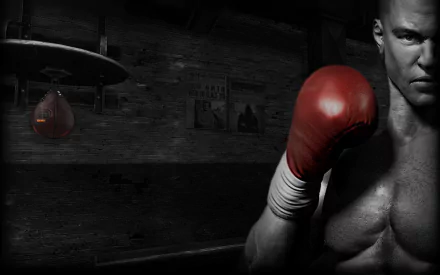 video game Real Boxing HD Desktop Wallpaper | Background Image
