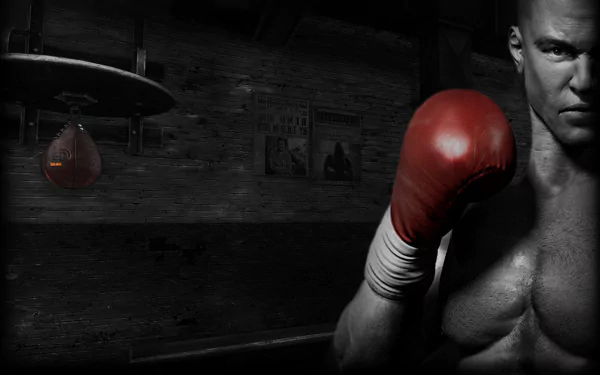 video game Real Boxing HD Desktop Wallpaper | Background Image
