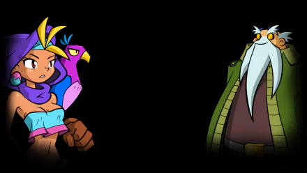 video game Shantae: Risky's Revenge HD Desktop Wallpaper | Background Image
