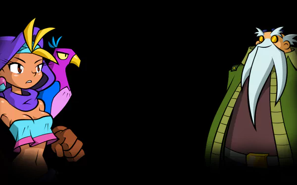 video game Shantae: Risky's Revenge HD Desktop Wallpaper | Background Image