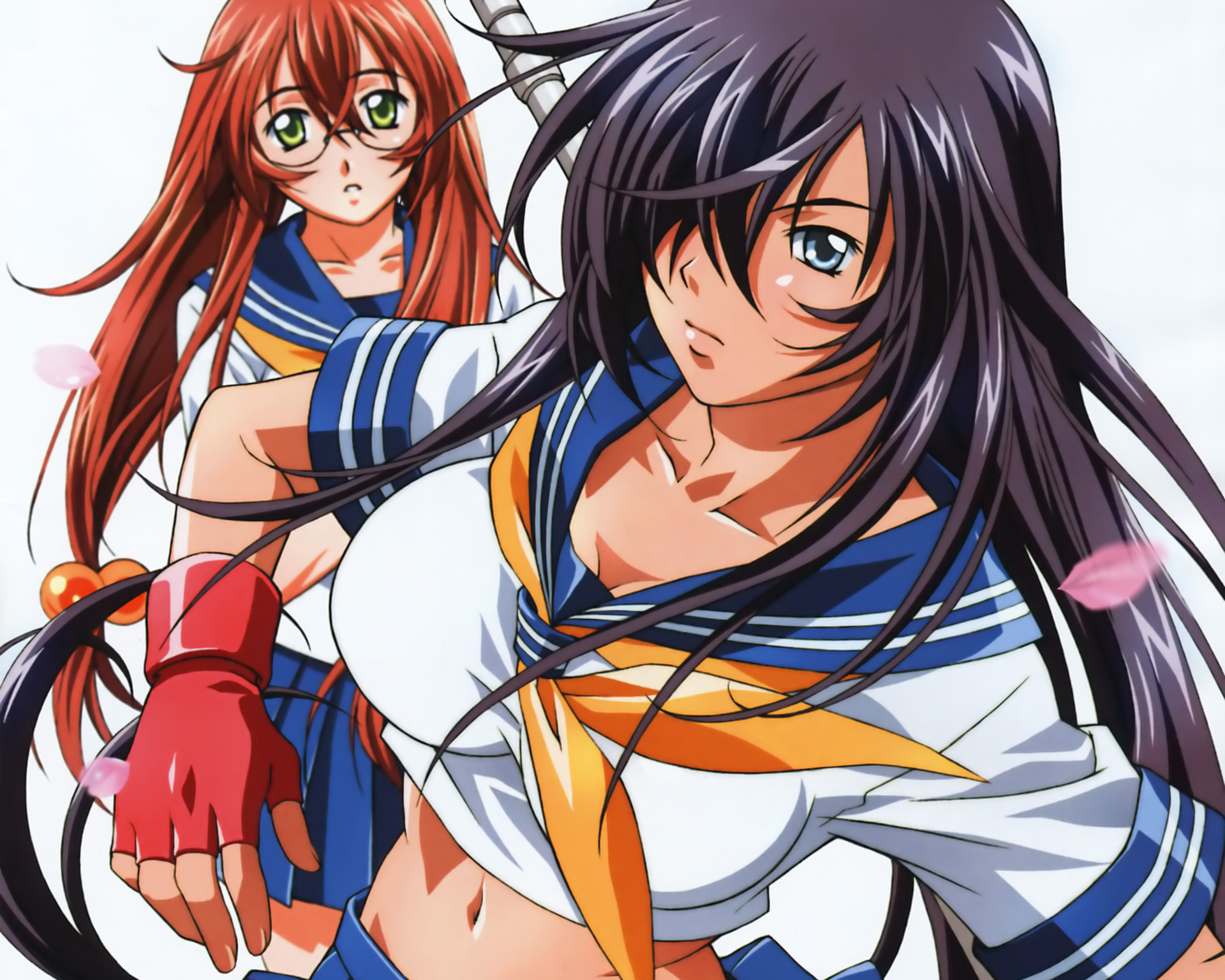 Ikki Tousen HD Wallpaper | Background Image | 1920x1536