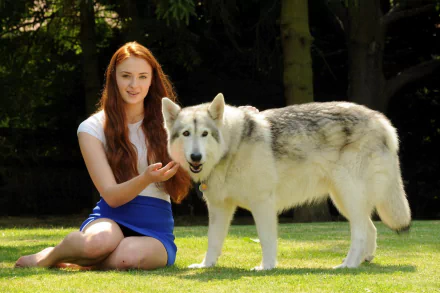 Sophie Turner sits on grass beside a large wolf-like dog, smiling as she interacts with it. This HD image captures a serene moment in nature, great as a desktop wallpaper.