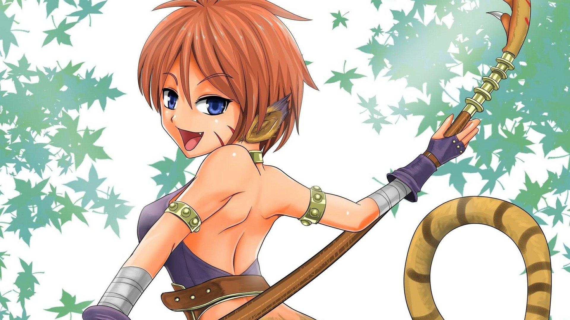 Download Video Game Breath Of Fire II HD Wallpaper