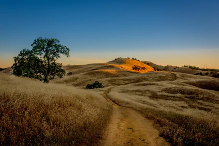 4K Ultra HD landscape wallpaper featuring a dirt road winding through dry grass hills with a solitary tree under a clear blue sky at sunset.