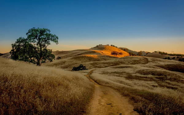 4K Ultra HD landscape wallpaper featuring a dirt road winding through dry grass hills with a solitary tree under a clear blue sky at sunset.