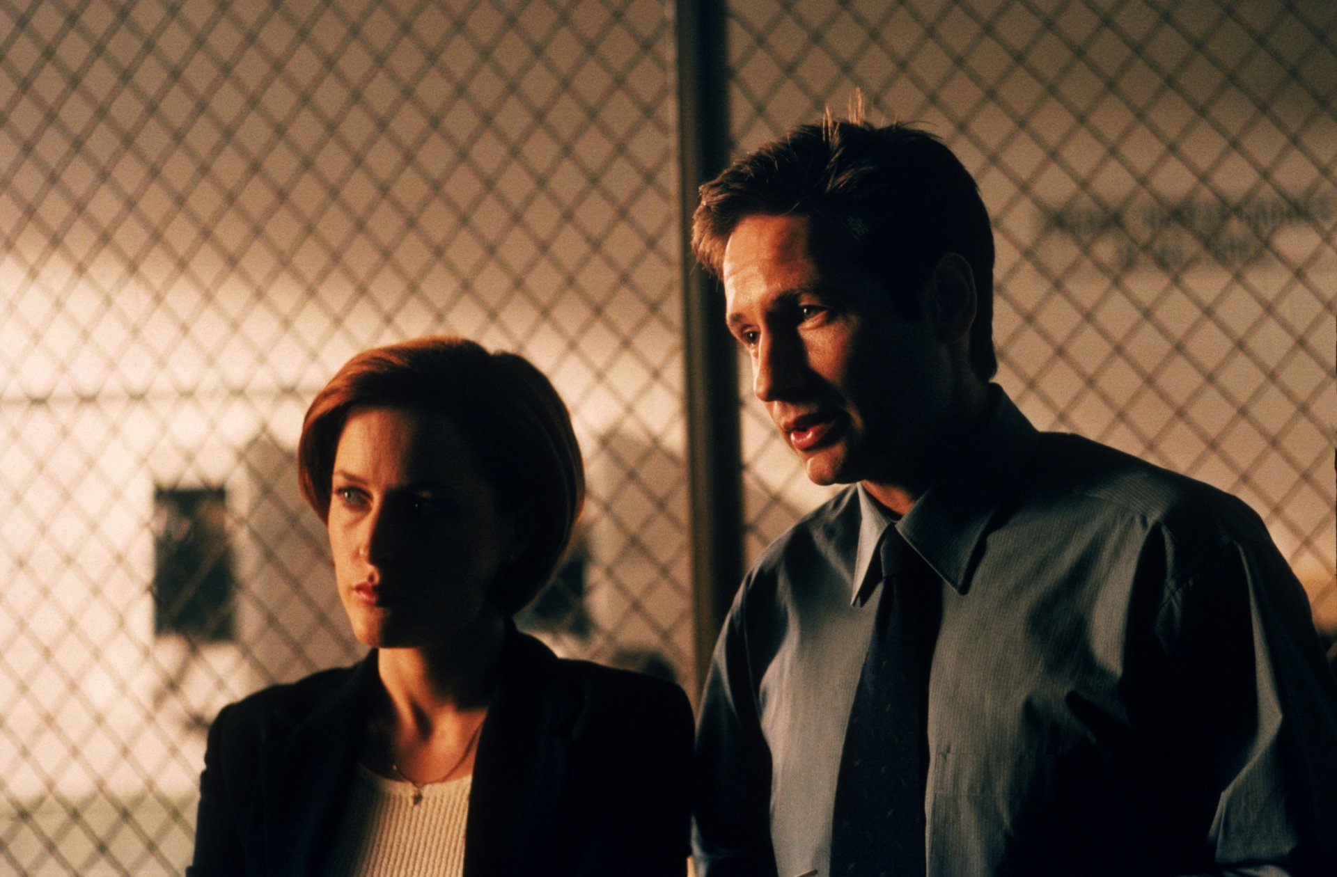 Download Fox <b>Mulder</b> David Duchovny Dana <b>Scully</b> Gillian Anderson TV Show The...