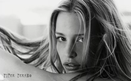 Celebrity Piper Perabo HD Desktop Wallpaper | Background Image
