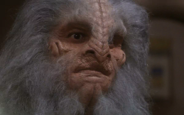  Xindi Arboreal