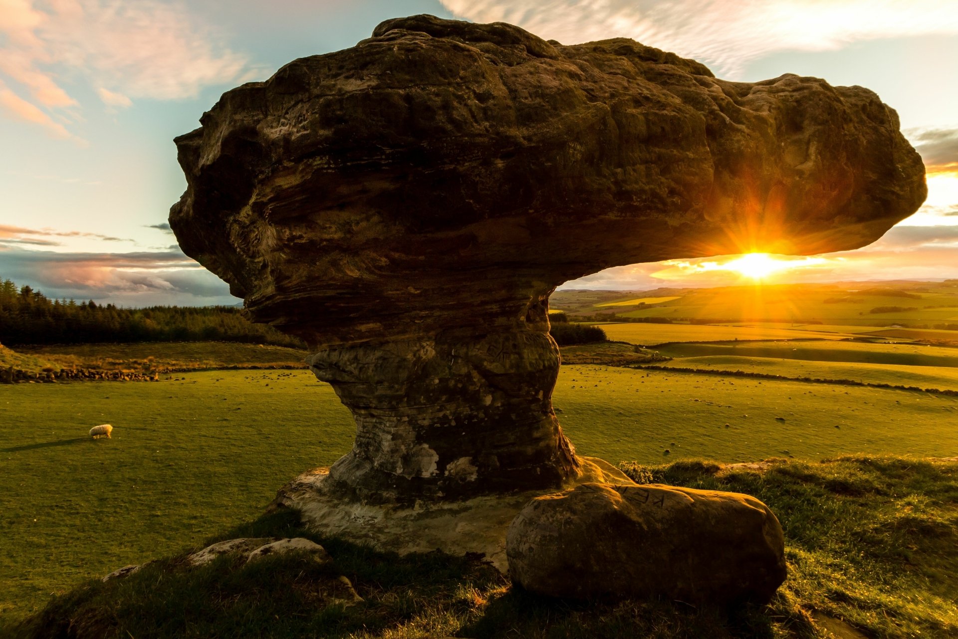 Download Nature Bunnet Stane 4k Ultra HD Wallpaper