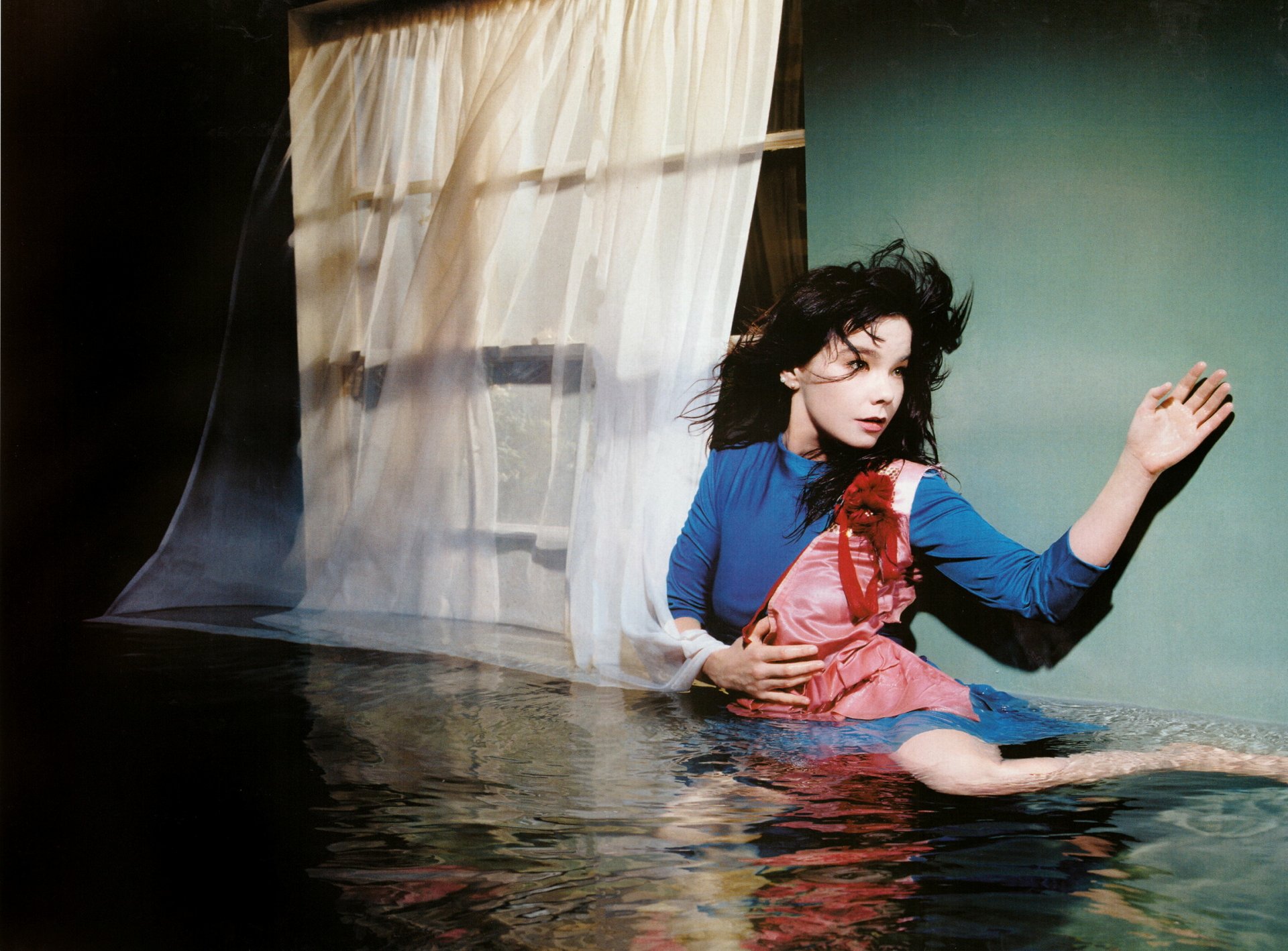 bjork declare independence