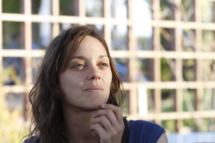 Marion Cotillard movie Rust and Bone HD Desktop Wallpaper | Background Image