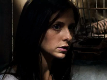 HD PC desktop wallpaper: close-up of a dark-haired woman in moody, gritty lighting, from the movie The Return (2006).