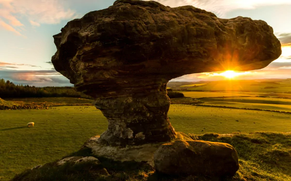 nature Bunnet Stane HD Desktop Wallpaper | Background Image