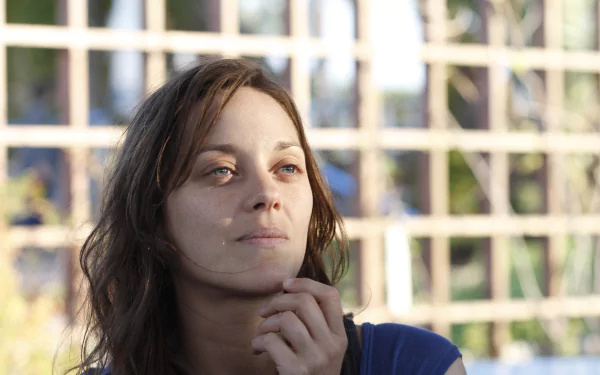 Marion Cotillard movie Rust and Bone HD Desktop Wallpaper | Background Image