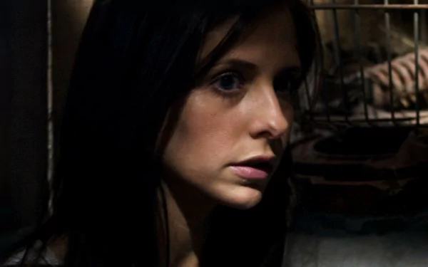 Sarah Michelle Gellar movie The Return (2006) HD Desktop Wallpaper | Background Image