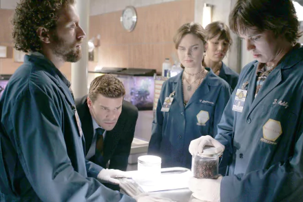 Zack Addy Eric Millegan Jack Hodgins T.J. Thyne Angela Montenegro Michaela Conlin Seeley Booth David Boreanaz Emily Deschanel Temperance Brennan TV Show Bones (TV Show) HD Desktop Wallpaper | Background Image
