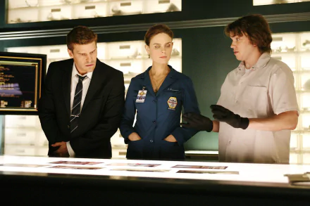 Seeley Booth David Boreanaz Emily Deschanel Temperance Brennan Zack Addy Eric Millegan TV Show Bones (TV Show) HD Desktop Wallpaper | Background Image