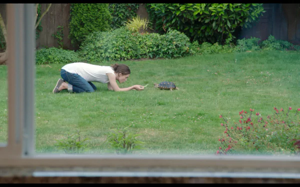 Keira Knightley movie Laggies HD Desktop Wallpaper | Background Image