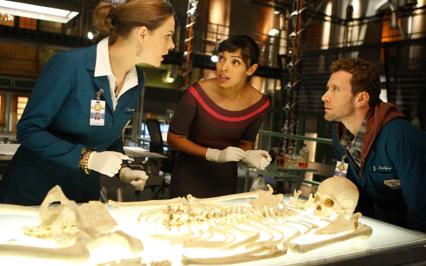 Camille Saroyan Tamara Taylor Jack Hodgins T.J. Thyne Emily Deschanel Temperance Brennan TV Show Bones (TV Show) HD Desktop Wallpaper | Background Image
