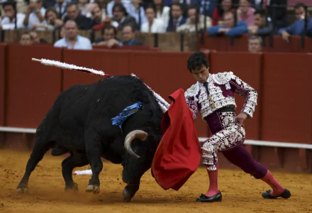 Bullfighting Sports HD Desktop Wallpaper | Background Image