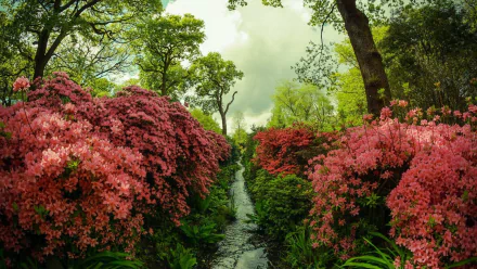 nature stream HD Desktop Wallpaper | Background Image