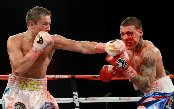 boxing Sports HD Desktop Wallpaper | Background Image