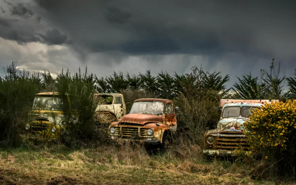 4K Ultra HD PC desktop wallpaper background: row of rusting vehicle wrecks — four vintage pickup trucks overgrown in tall grass beneath a stormy sky.