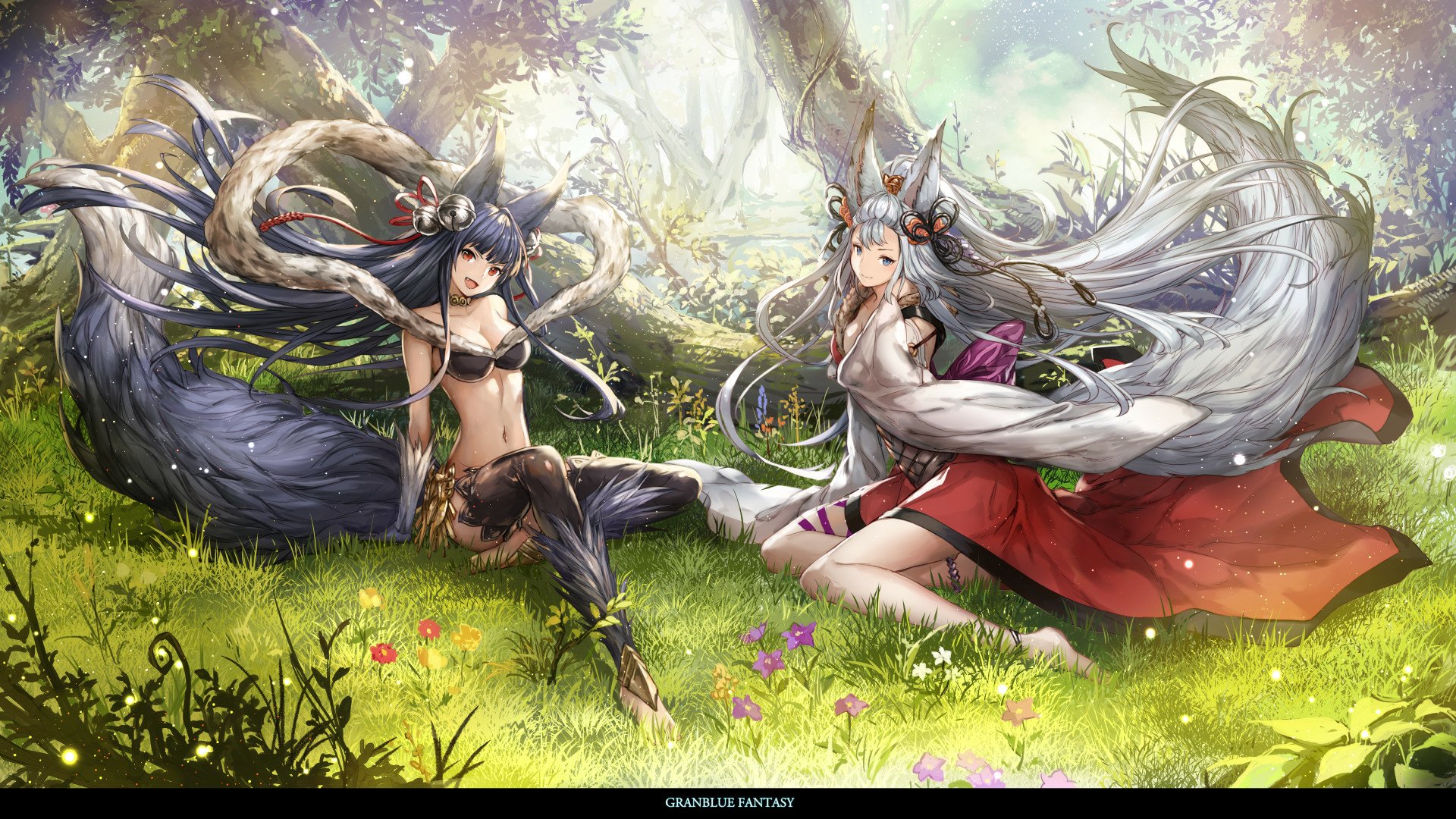 Download Video Game Grand Blue Fantasy HD Wallpaper by komech24