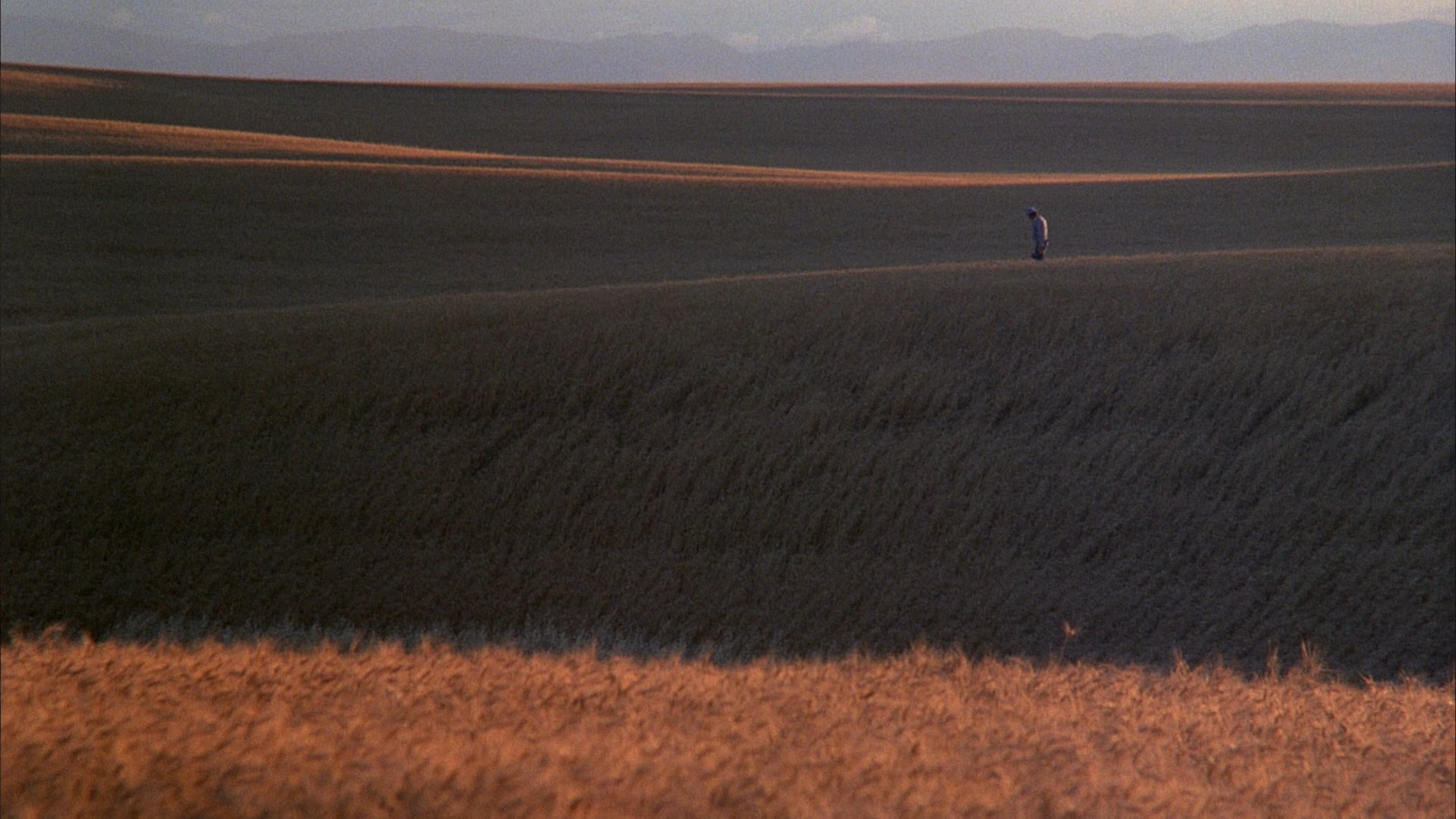 Download Movie Days Of Heaven HD Wallpaper