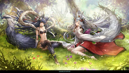 video game grand blue fantasy HD Desktop Wallpaper | Background Image
