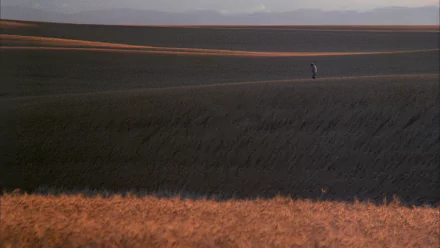 movie Days of Heaven HD Desktop Wallpaper | Background Image