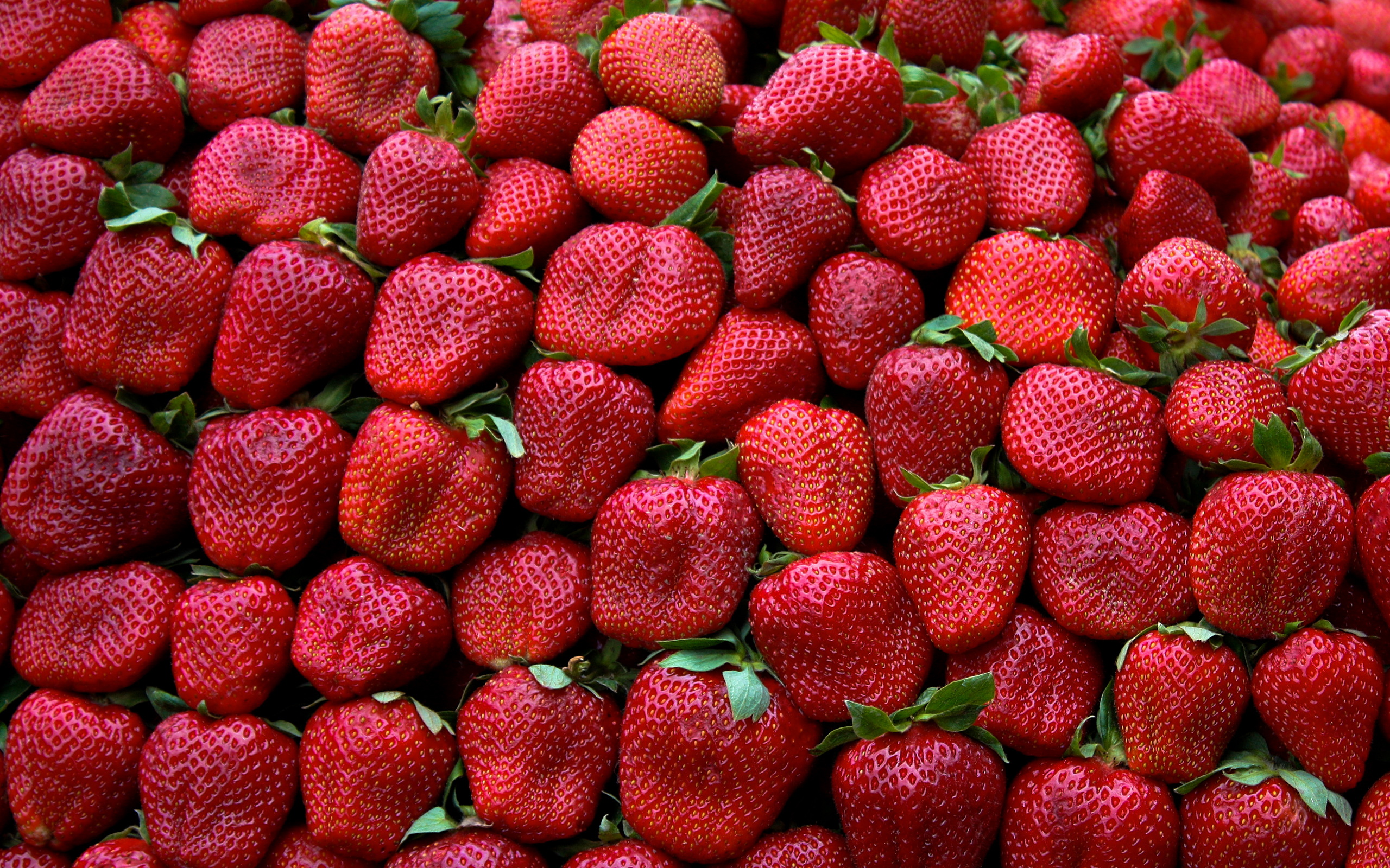 Download Food Strawberry HD Wallpaper