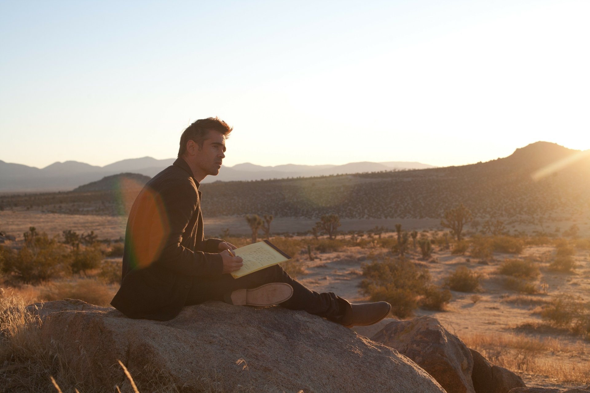 Download Marty (Seven Psychopaths) Colin Farrell Movie Seven Psychopaths 4k Ultra HD Wallpaper