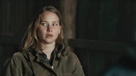 Jennifer Lawrence movie Winter's Bone HD Desktop Wallpaper | Background Image