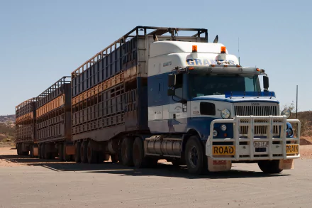 Iveco road train on a sunlit outback road with long multi-trailer livestock carrier under a clear blue sky — 2K Quad HD PC desktop wallpaper
