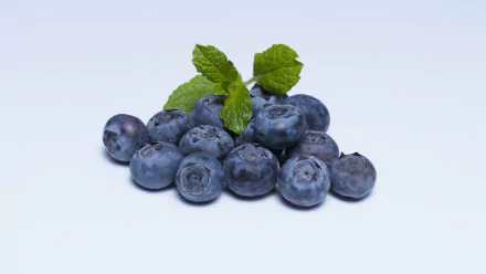  Blueberries &amp; Mint by Gabor Mika
