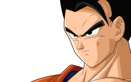 Gohan from Dragon Ball Z depicted in a vibrant HD desktop wallpaper. The image showcases his determined expression and iconic hairstyle in a clean, animated style.